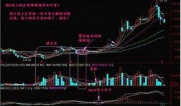 庄家酒后爆料视频大全,独家爆料视频大全深度解析